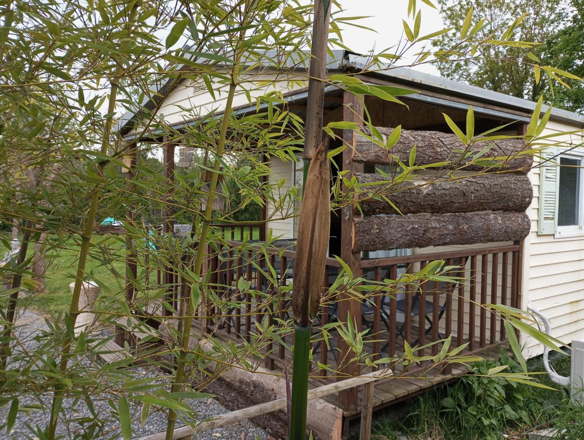 Cabanon Grenouille - Le Pal Saint-Martin-des-Lais Buitenkant foto